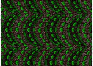 Ankara Fabric 20250602