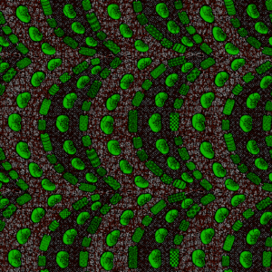 Ankara Fabric 20250602
